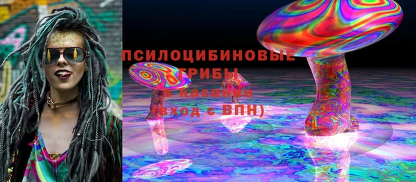 хмурый Алзамай