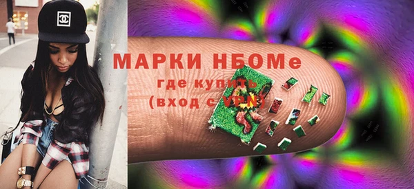 хмурый Алзамай