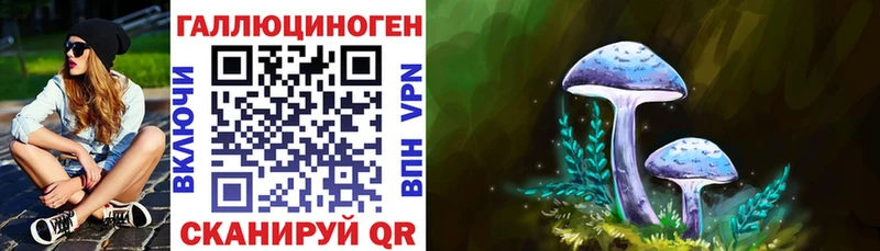 Псилоцибиновые грибы Cubensis  Крым 